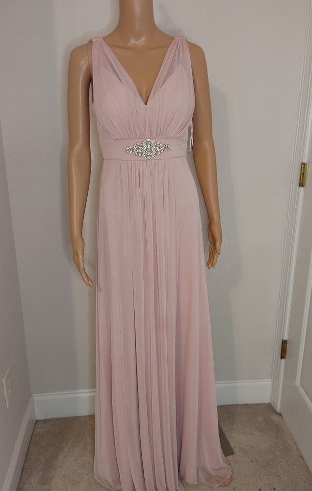 Blush Gown